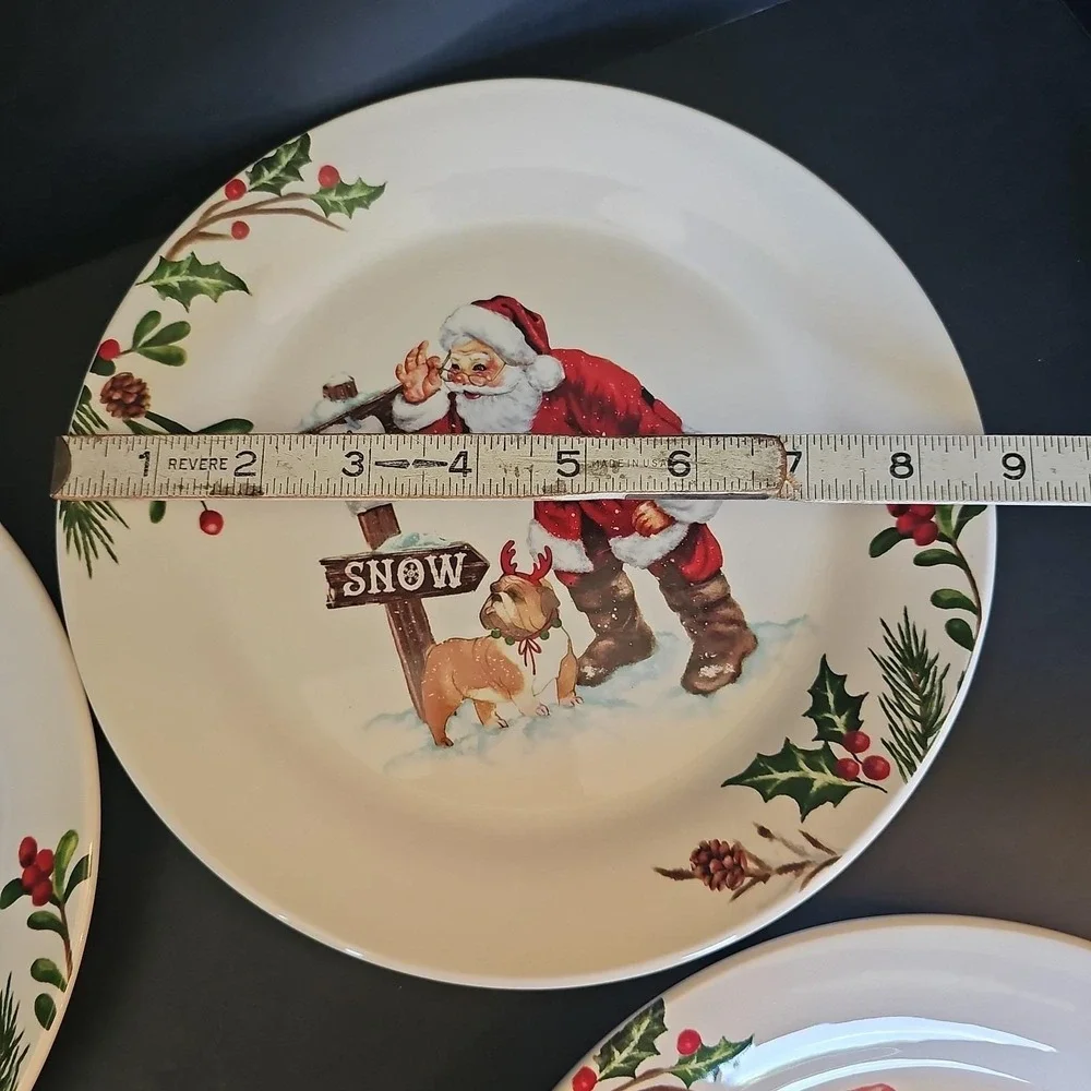 4 Assorted Pier 1 Winter Wonders Ironstone 8 3/4